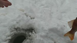 Первый лёд в 2025 году он такой...