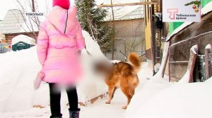 ИСТОРИЯ БУЧА. ЖЕСТОКОЕ ОБРАЩЕНИЕ С ЖИВОТНЫМИ
