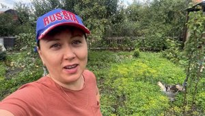 Ночные садоводы: груша сломалась, сливы упали, работа с гаражом началась.