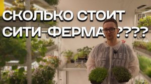 Сколько стоит сити-ферма? С чего начать, что бы открыть свою ферму?