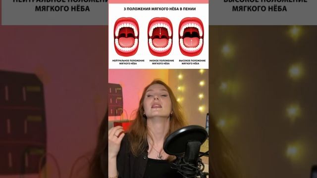 Как использовать мягкое нёбо с твенгом? #вокал #твенг #научитьсяпеть