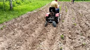 Окучивание дисковыми окучниками