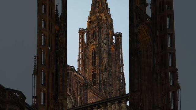 Strasbourg Capitale de Noël #france🇫🇷 #strasbourg #capitale #weinachten #noël #walking #reise #url