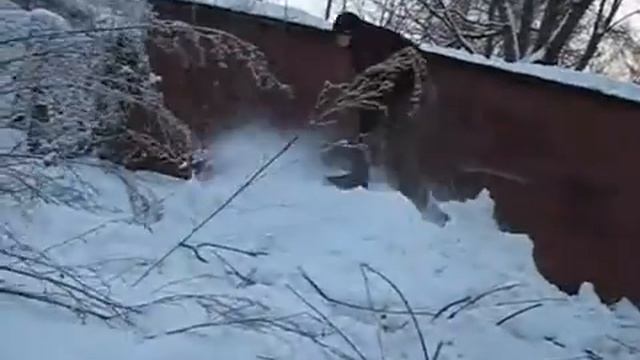 BlooD TWinS 17 Best смотреть ВСЕМ г Киров 2009 паркур,3run,acrostreet смотреть онлайн