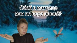 Сбой в матрице или по вере вашей?
