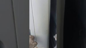 Ошибка P0573 Газель бизнес 4216 Е-4