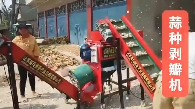 Разделитель чесночных головок на зубки, калибратор 3 смотреть онлайн