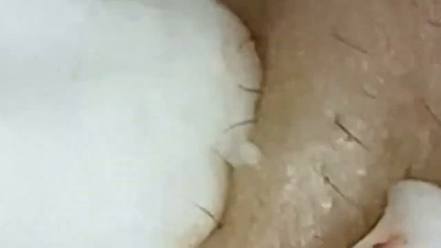 مستقيل و بدمع العين امضي حبيبتي #NASA520