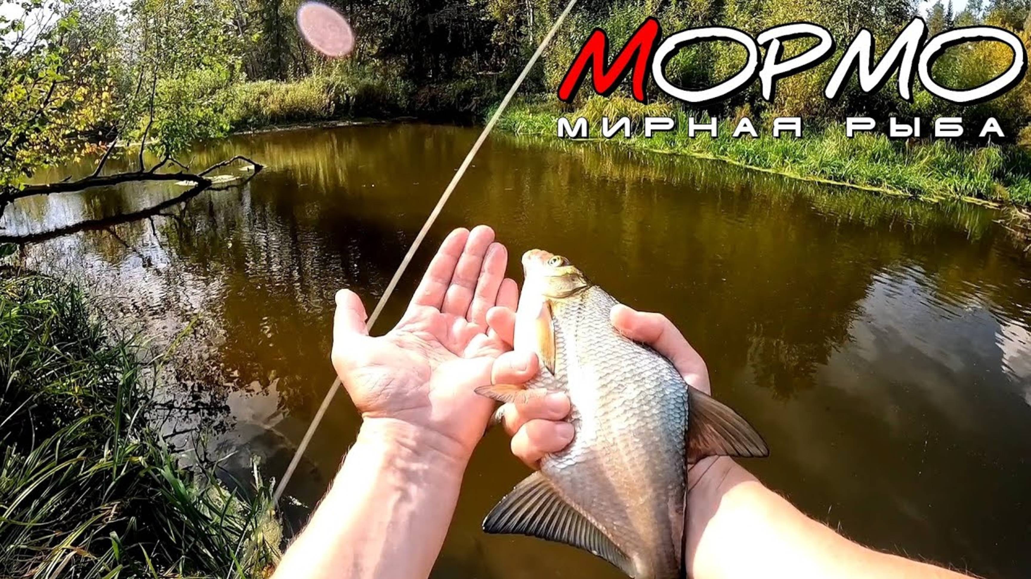 Осень - это не только хищник! Мормышинг наноджиг ультралайт