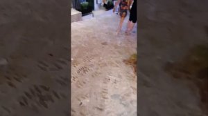 Из Анталии в Каш. Обзор Phellos hotel и всех пляжей. Поездка в Калкан. Прогулка в Каше