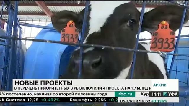 В перечень приоритетных в РБ включили 4 проекта на 1,7 млрд руб. смотреть онлайн