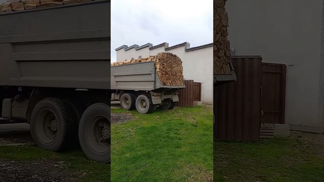Сколько стоит 1 куб дрова в Закарпатье.