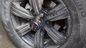 Чип тюнинг Tank 300. Вся правда о чипе китайцев.