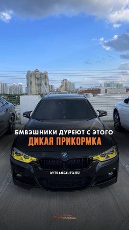 🤯Бмвэшники дуреют с этой прикормки #shorts