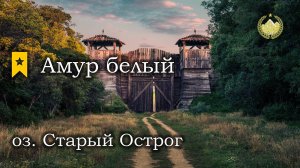 ✮ оз. Старый Острог ✮ Трофейный Амур белый ✮ Русская рыбалка 4 ✮