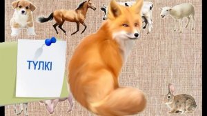 Жануарлар/дауыстары/балаларға арналған/қазақша ролик