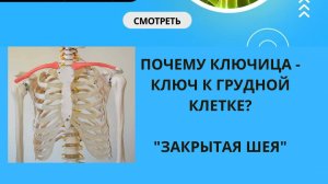 ПОЧЕМУ КЛЮЧИЦА ЯВЛЯЕТСЯ КЛЮЧОМ К ГРУДНОЙ КЛЕТКЕ. "ЗАКРЫТАЯ ШЕЯ"