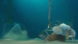 Скрат и континентальный излом 2 2011 Scrat's Continental Crack Up   Part 2