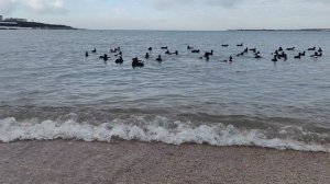 Море. Релакс