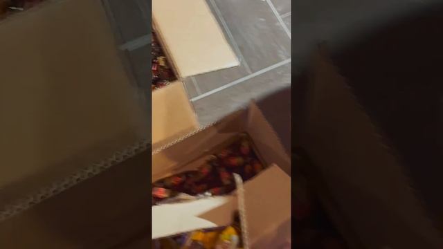 1000092966.mp4