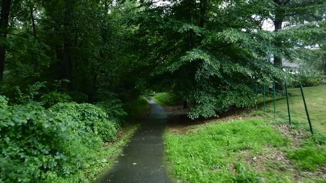 Целебная музыка для сердца и сосудов 🌿 успокаивает нервную систему и радует душу №6