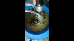 Эксперимент с биозагрузкой