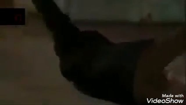 приколи Шавкат намик смотреть онлайн