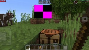 поживаем один день в в Майнкрафте