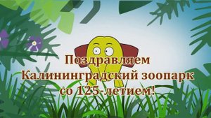 Поздравляем с днём рождения Калининградский зоопарк!