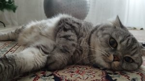 Видео от сестры