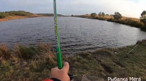 РЫБАЛКА НА БЕЛОГО АМУРА ОСЕНЬЮ С ДОНКОЙ.