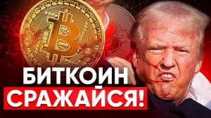 Фактор Трампа в росте Биткоина. Какие монеты держать в портфеле и почему НЕ стоит ждать ПАДЕНИЯ?