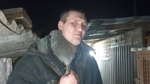 Кормим НУТРИЙ без спешки. Скормили последнюю ТЫКВУ. 11.12.24