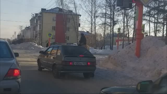 По городу скачет девушка на лошади, стоит на светофоре и пропускает автомобили