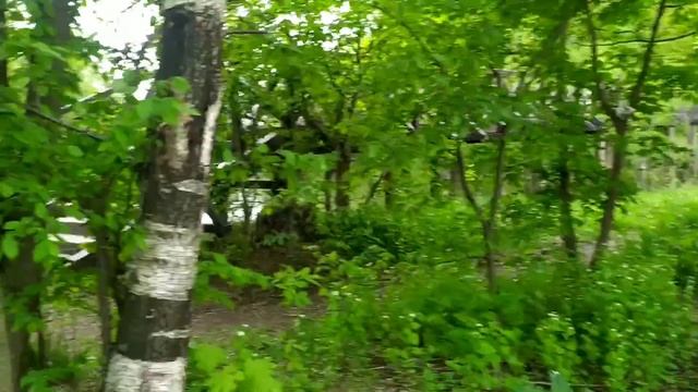 Пруды парка Покровско-Стрешнево смотреть онлайн