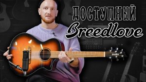 Доступные гитары Breedlove не из Америки