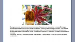 Уникальный крем «Золотой Биофен» и другие продукты Биозан для наружного применения