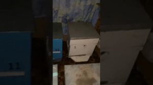 Зимовка пчёл!!