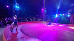 Анна Жернякова- Собаки 2023, Цирк-Шапито Драйв.mp4