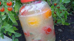 Помидоры холодным способом с горчицей