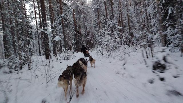 4K-съёмка на HONOR X9c, оптическая стбаилизация смотреть онлайн