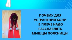 ПОЧЕМУ ДЛЯ УСТРАНЕНИЯ БОЛИ В ПЛЕЧЕ НАДО РАССЛАБЛЯТЬ МЫШЦЫ ПОЯСНИЦЫ И ЗАДНЕЙ ЧАСТИ БЕДРА. ТЕСТ.