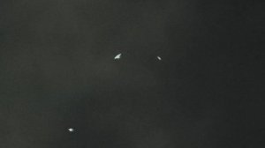 #pigeon Летают ли бакинские бойные голуби по ночам? 14 января 2025 г.