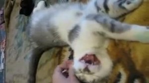 Соня, вставай!.mp4