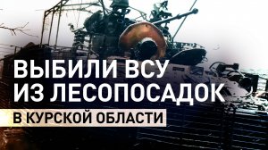 Российские военные выбили украинских боевиков из лесопосадок в Курской области