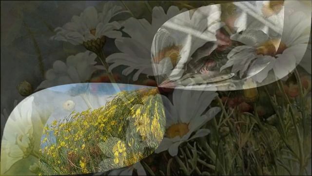 Желтые цветы смотреть онлайн