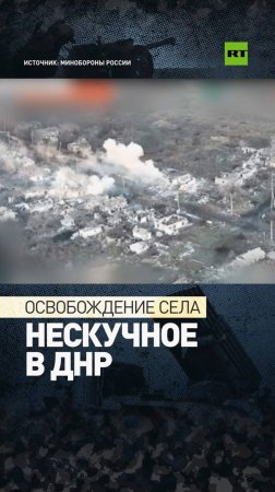 Российский триколор в Нескучном: ВС РФ освободили село в ДНР