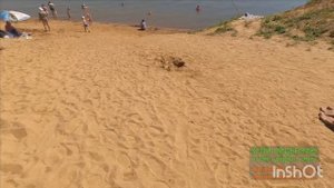 Яровое
Алтай
55 причал