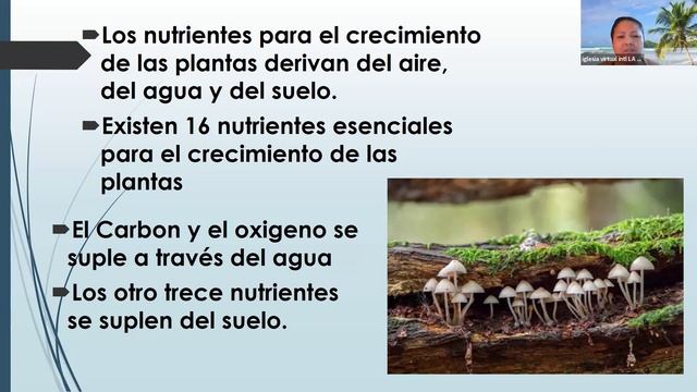 BIENESTAR INTEGRAL: La agricultura, la nutricion y la salud (I) смотреть онлайн