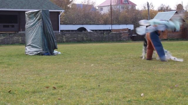 ВЕО ЖАР ДИН БАСАР, группа А, 1 место, 95 баллов. смотреть онлайн